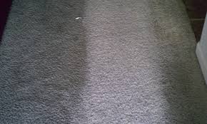 carpet cleaning Rialto